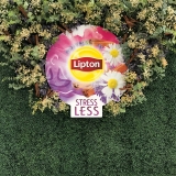 Lipton-tea-dimensional-on-hedge-wall