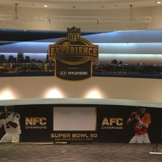 NFL Experience 2016